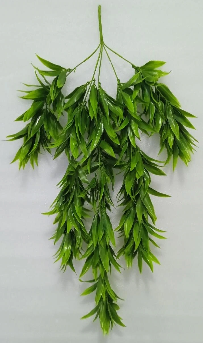 Cactus Leaves Creeper x81